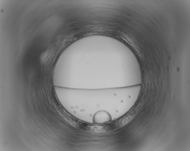 X0000060800265200512082157