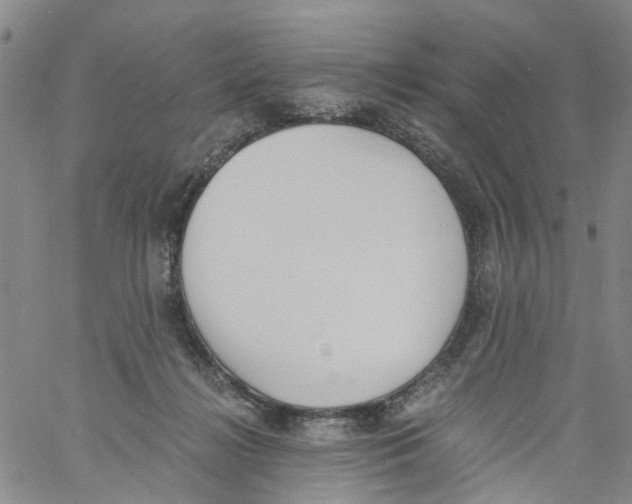 X0000060800268200512082157