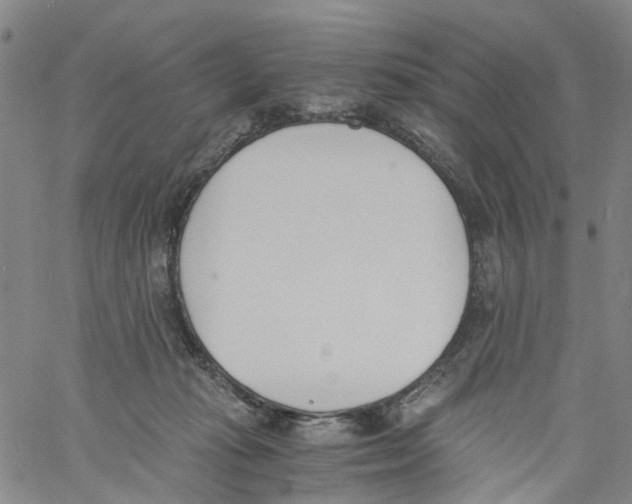 X0000060800269200512082157