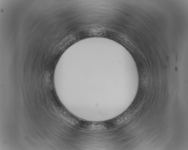 X0000060800270200512082157