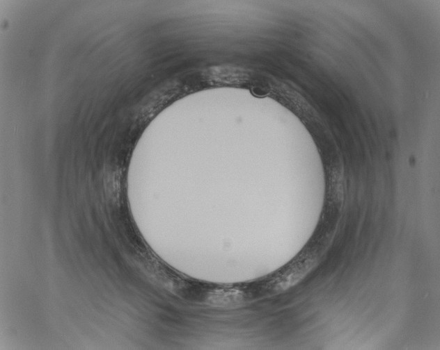 X0000060800271200512082157