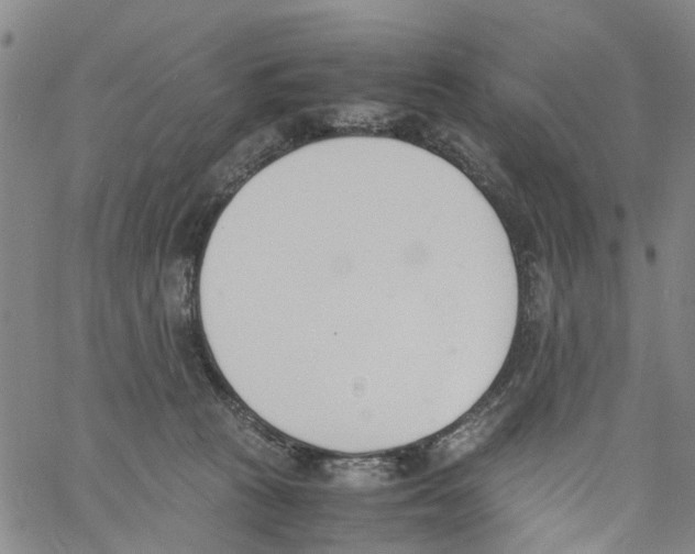 X0000060800273200512082157