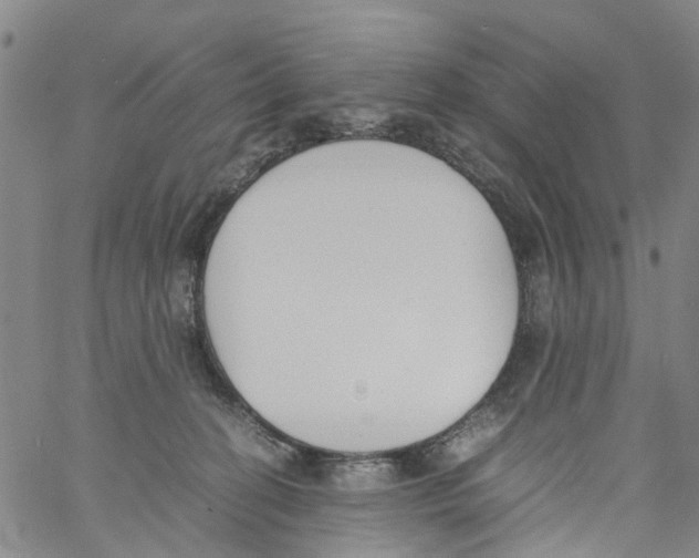 X0000060800274200512082157