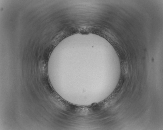 X0000060800276200512082157