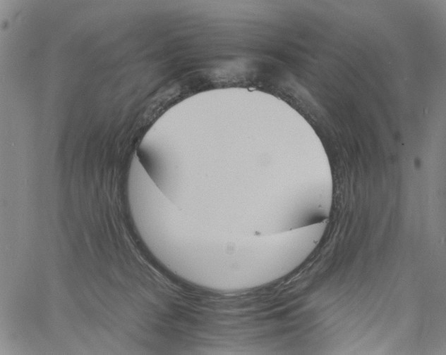 X0000060800277200512082157