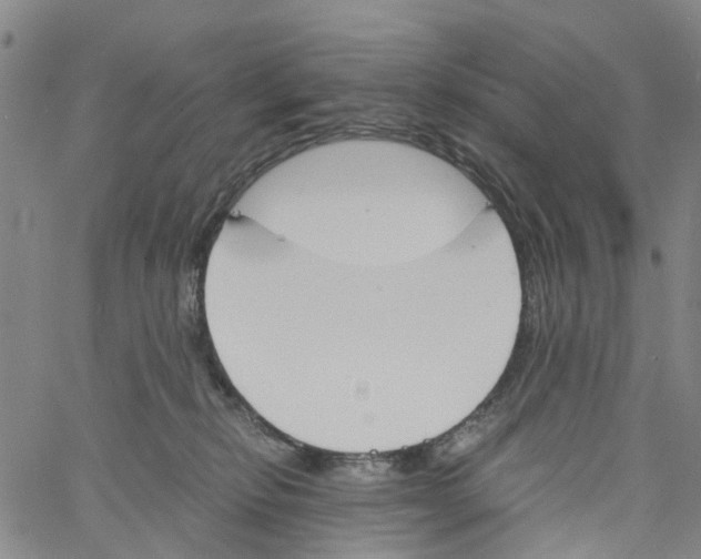 X0000060800278200512082157