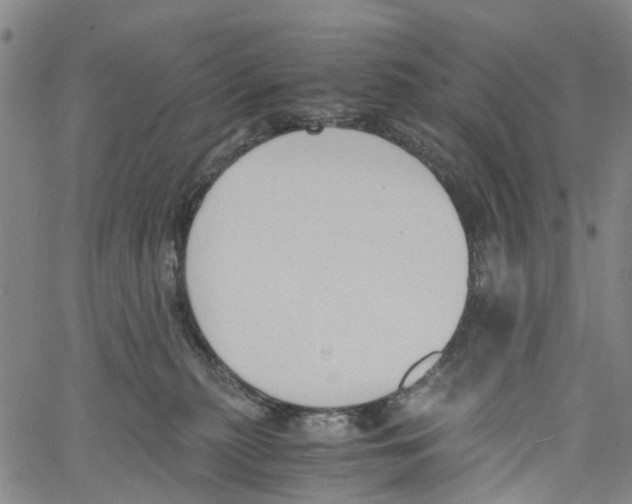 X0000060800279200512082157