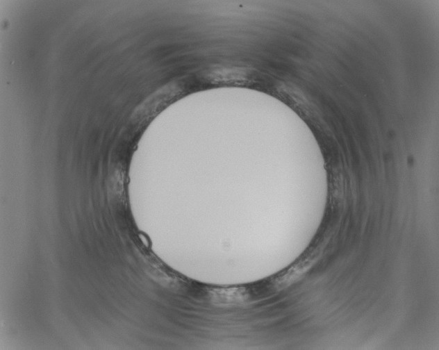 X0000060800281200512082157