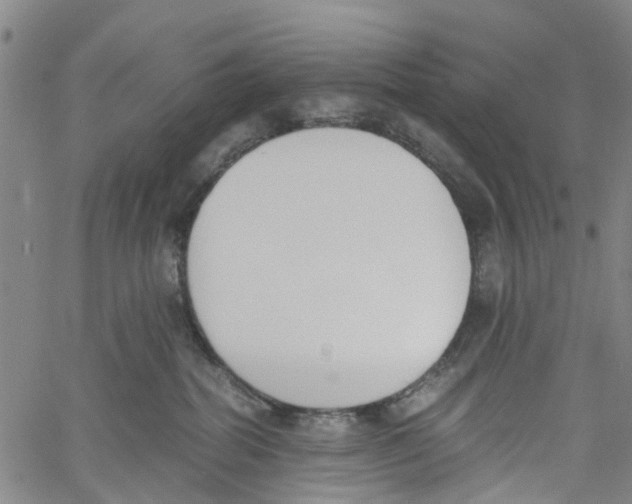 X0000060800282200512082157