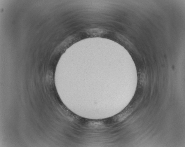 X0000060800283200512082157