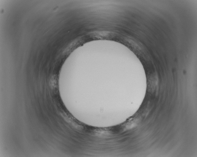 X0000060800284200512082157