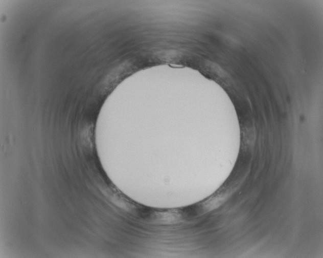 X0000060800286200512082157