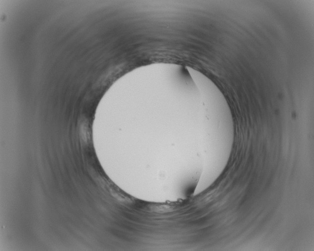 X0000060800287200512082157