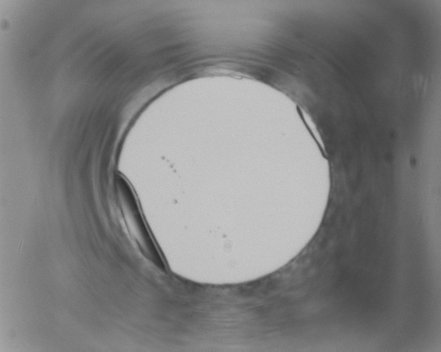 X0000060800289200512082157