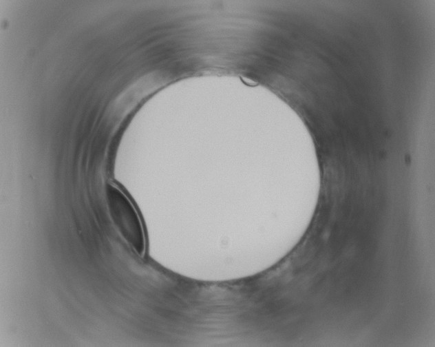 X0000060800290200512082157