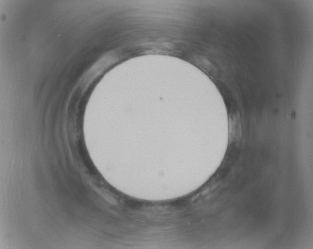 X0000060800291200512082157