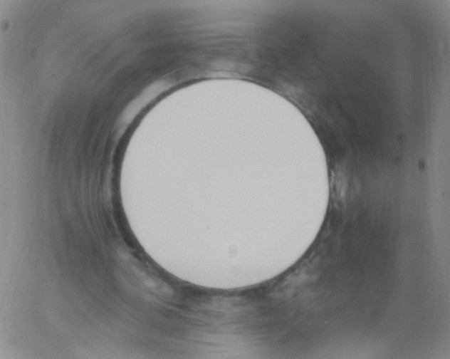 X0000060800292200512082157