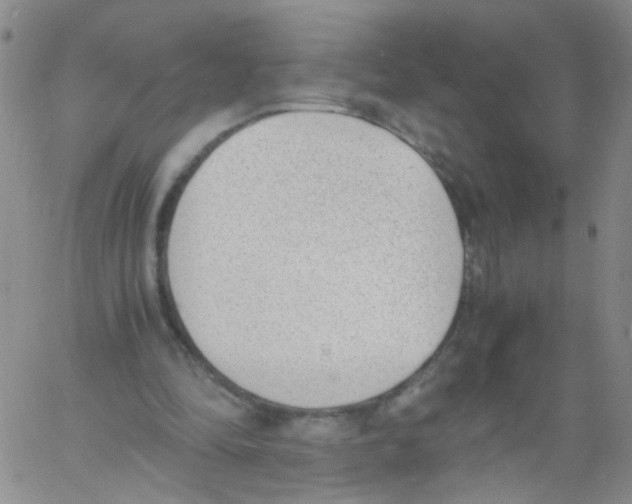 X0000060800294200512082157