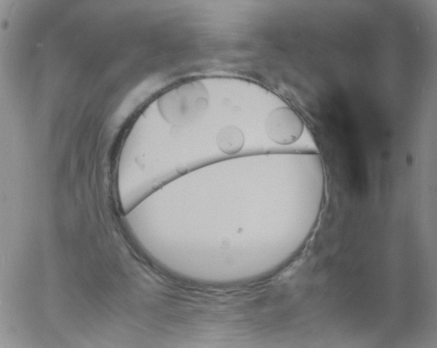 X0000060800295200512082157