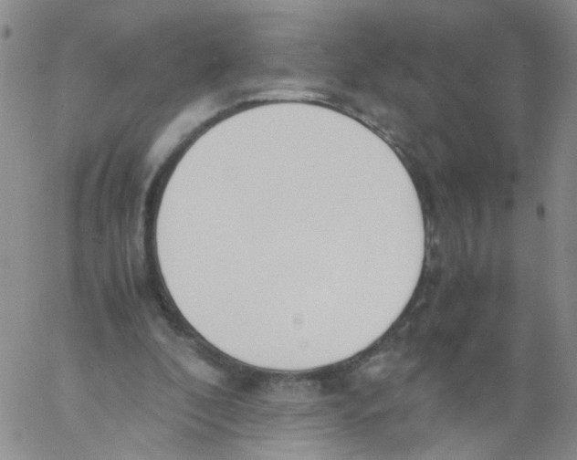 X0000060800296200512082157