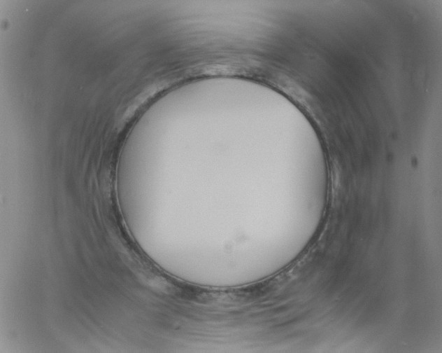 X0000060800297200512082157