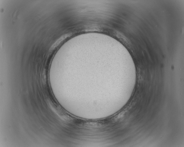 X0000060800298200512082157