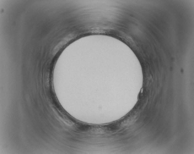 X0000060800299200512082156