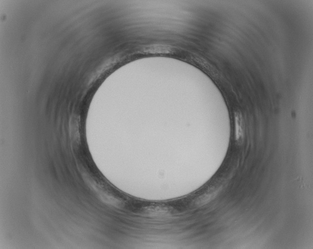 X0000060800300200512082156