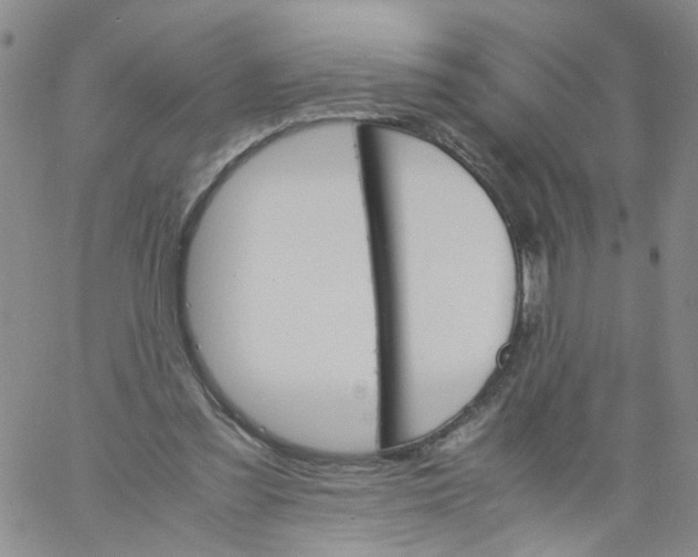 X0000060800301200512082156