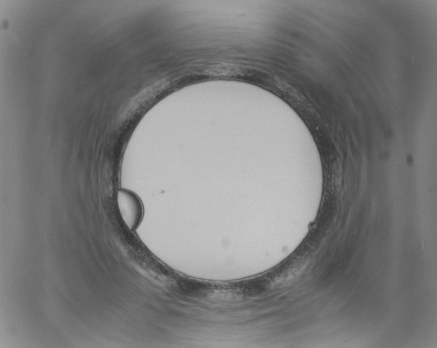 X0000060800303200512082156