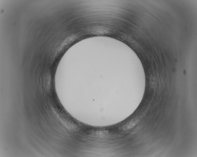 X0000060800304200512082156