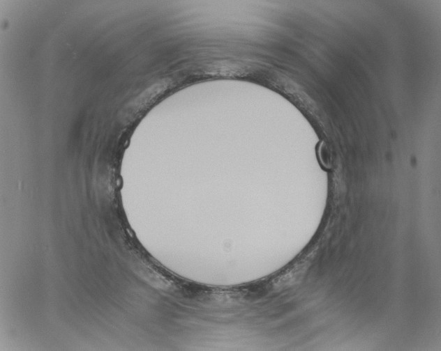 X0000060800305200512082156