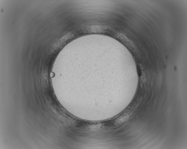 X0000060800306200512082156