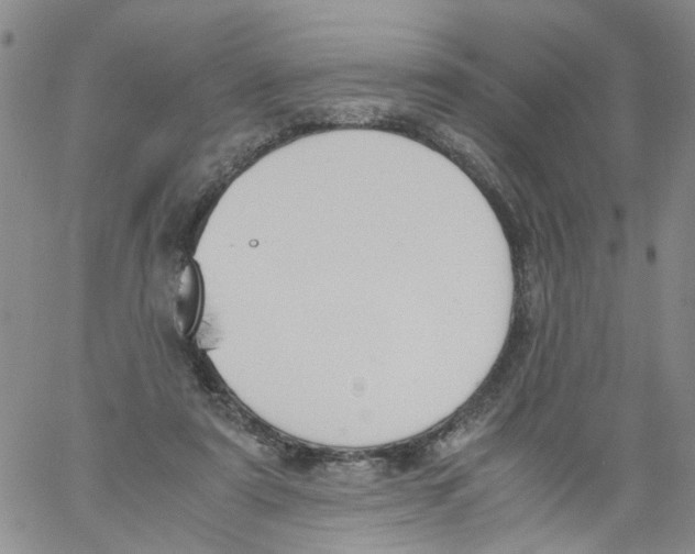 X0000060800307200512082156