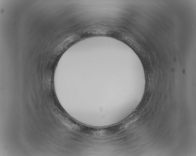 X0000060800309200512082156