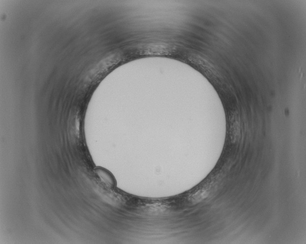 X0000060800310200512082156