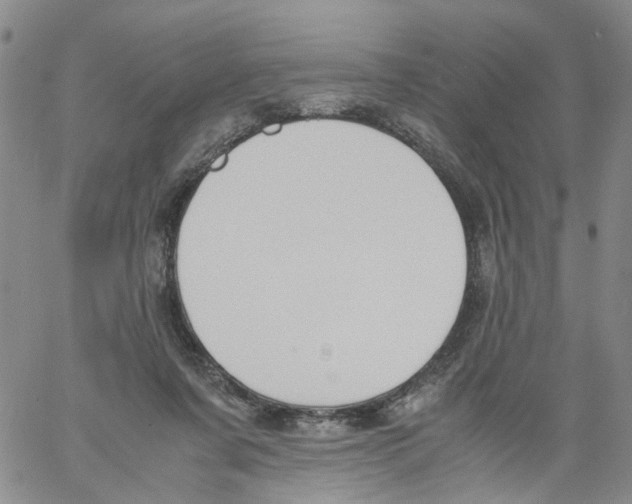 X0000060800311200512082156