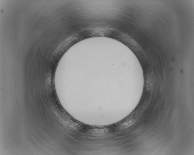 X0000060800314200512082156