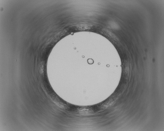 X0000060800315200512082156