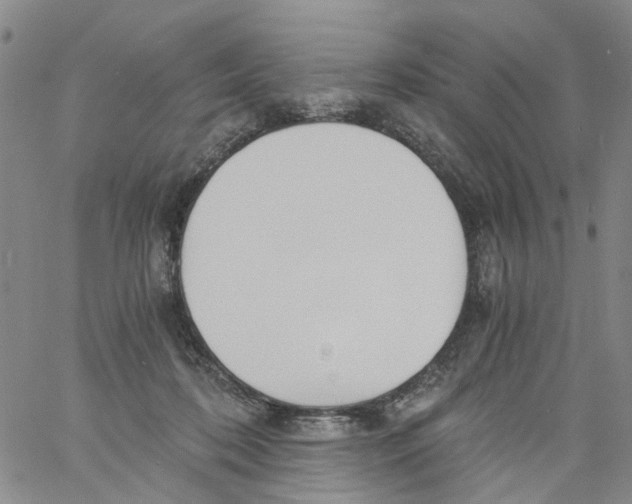 X0000060800316200512082156