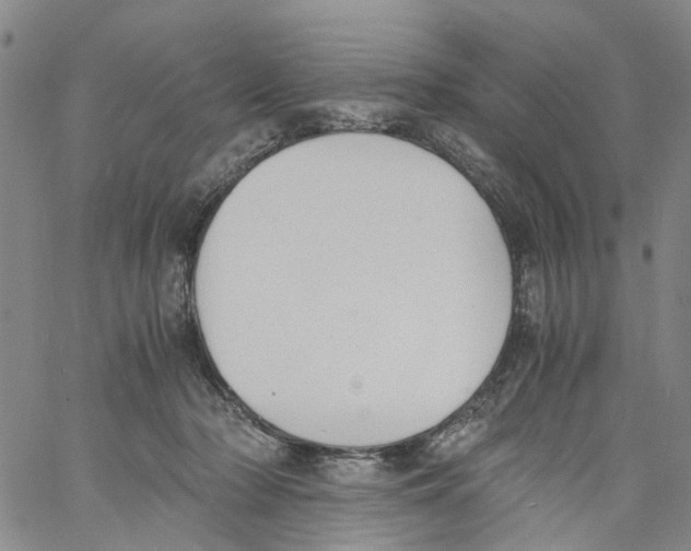 X0000060800318200512082156