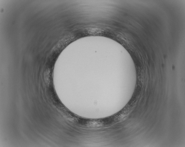 X0000060800319200512082156