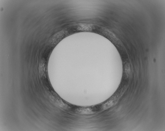 X0000060800322200512082156