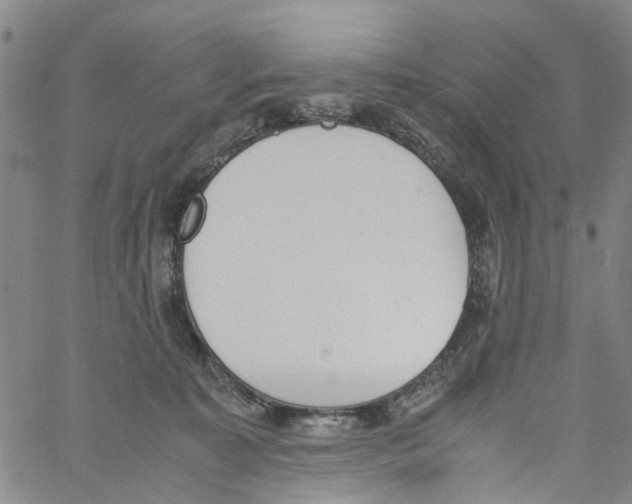 X0000060800323200512082156