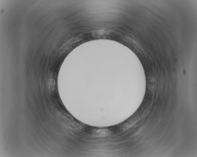 X0000060800324200512082156