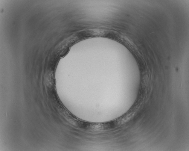 X0000060800325200512082156