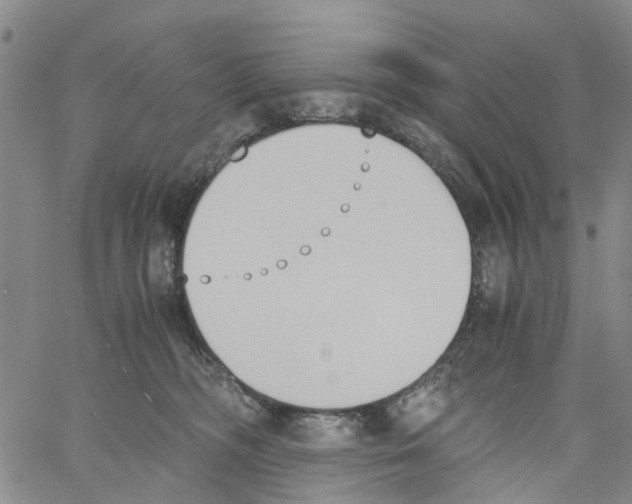 X0000060800326200512082156