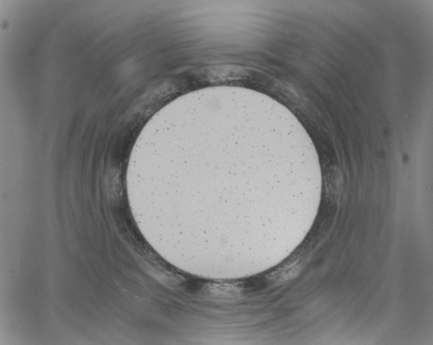 X0000060800327200512082156