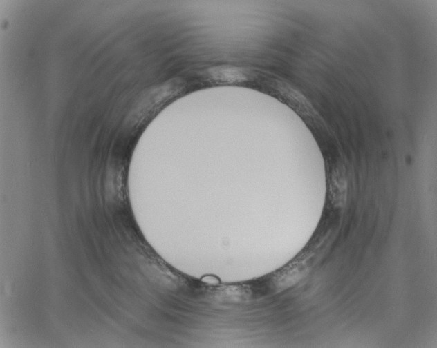 X0000060800330200512082156