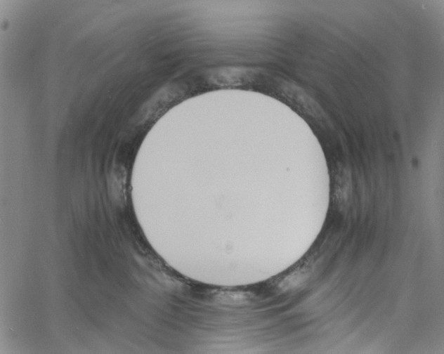 X0000060800332200512082156